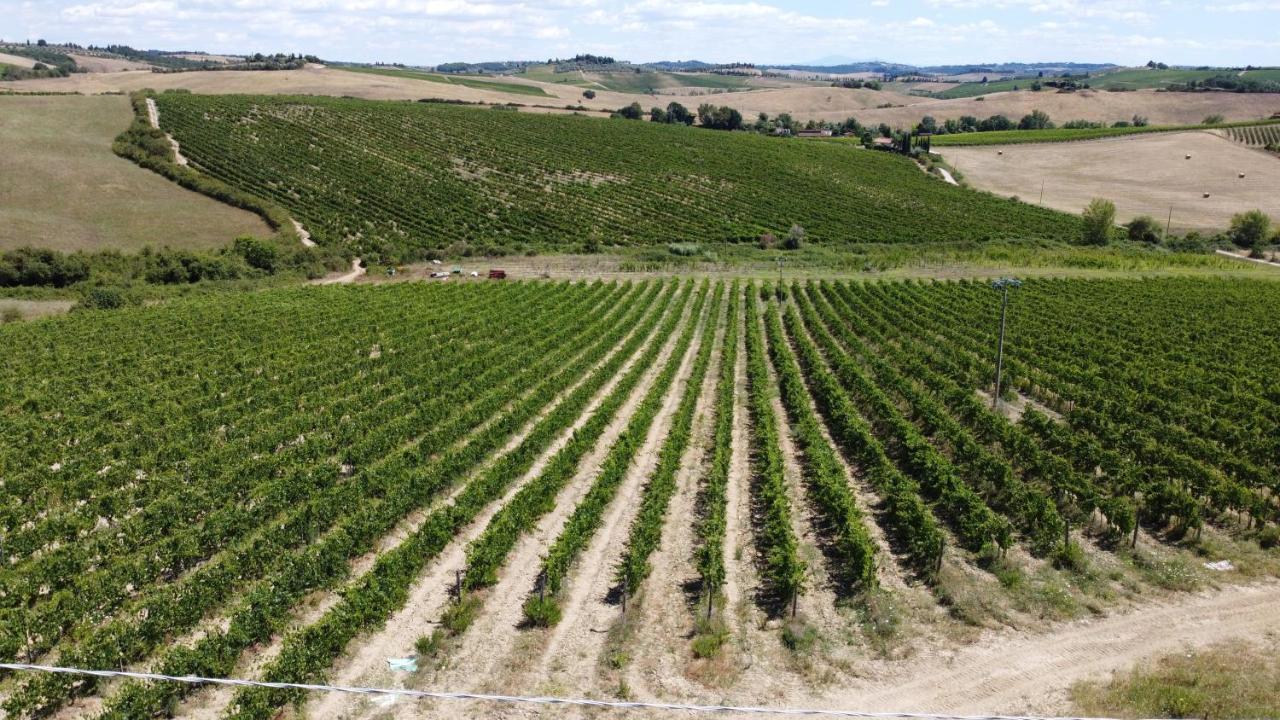 Az.Agr.Poggio Regini Leilighet Castellina in Chianti Eksteriør bilde