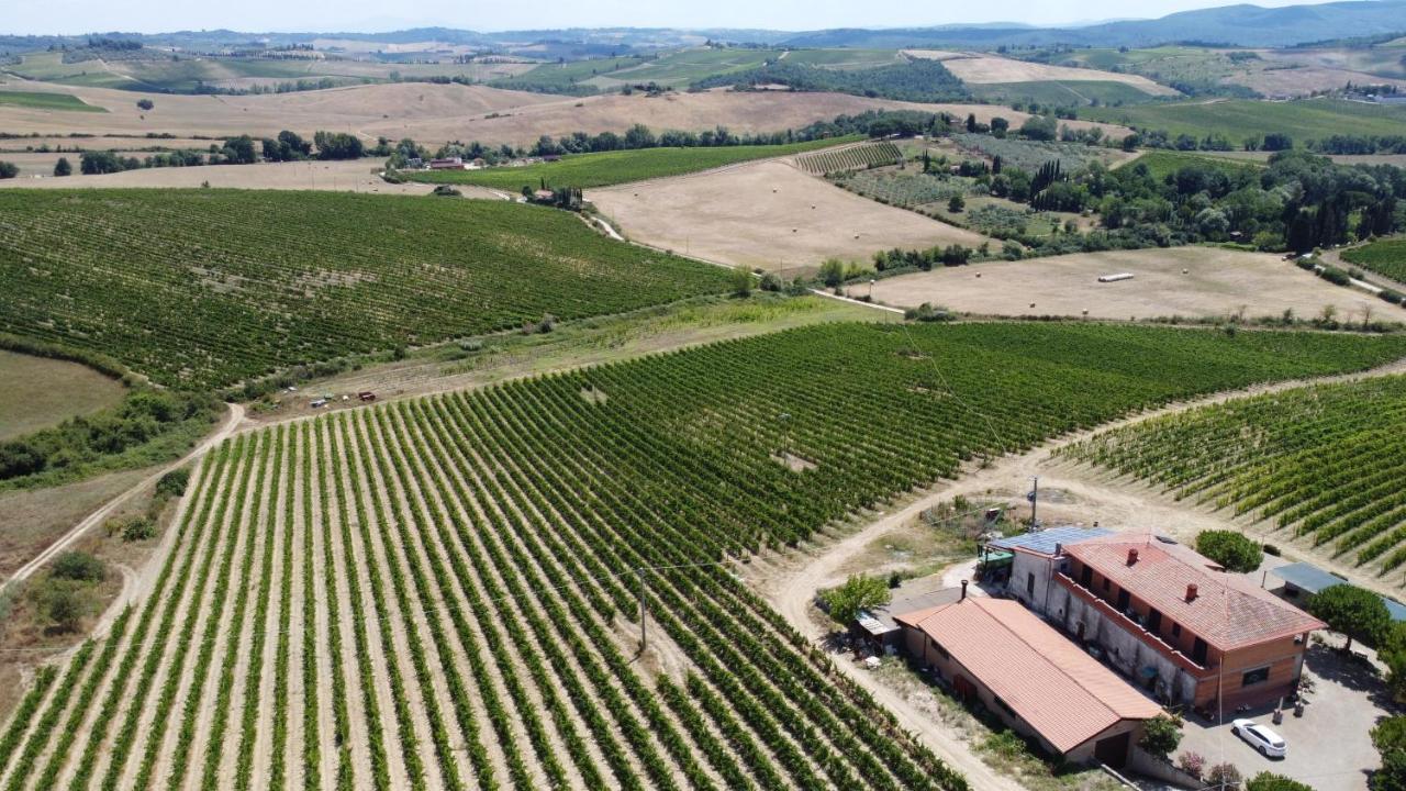 Az.Agr.Poggio Regini Leilighet Castellina in Chianti Eksteriør bilde