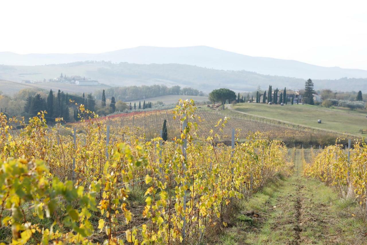 Az.Agr.Poggio Regini Leilighet Castellina in Chianti Eksteriør bilde